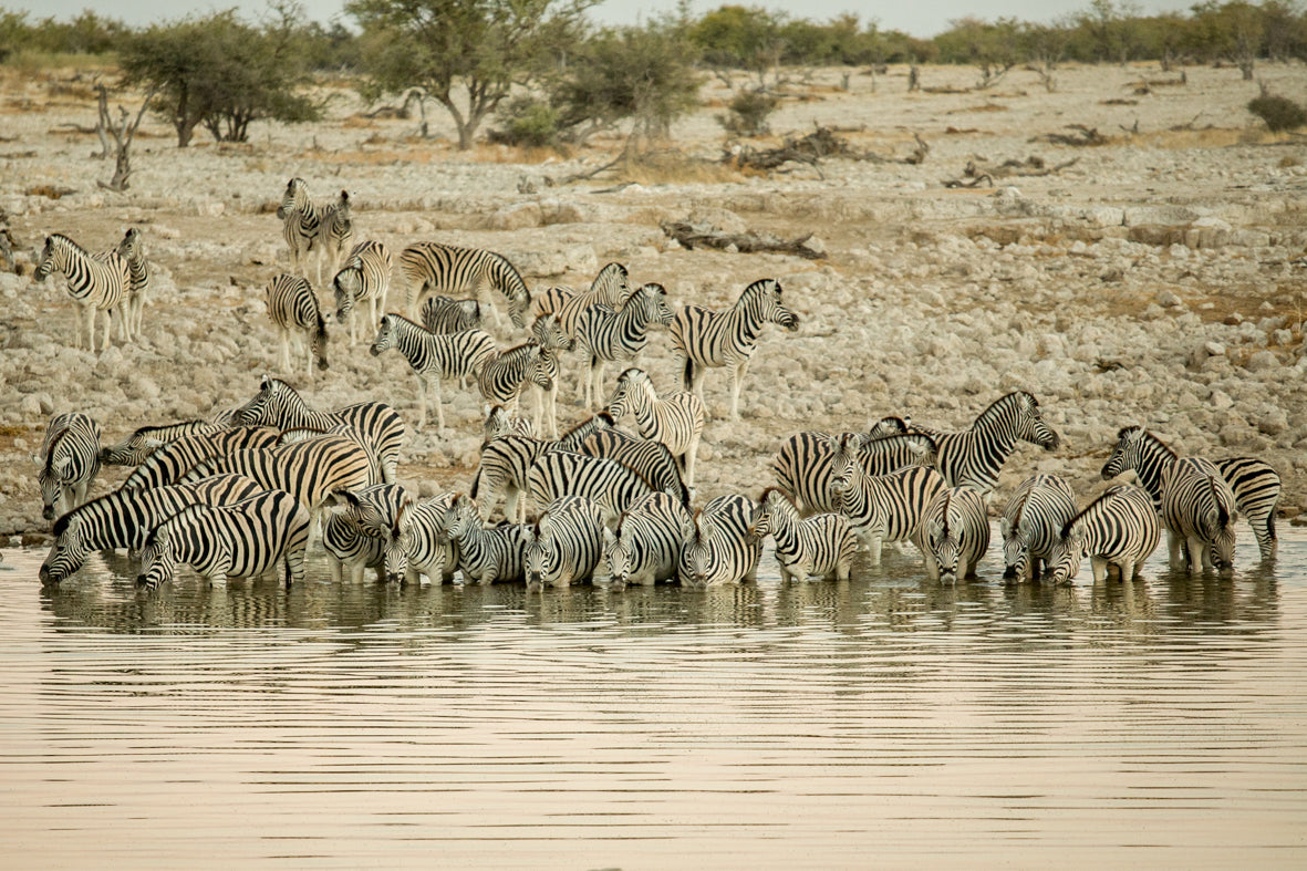 Africa: Iconic Images