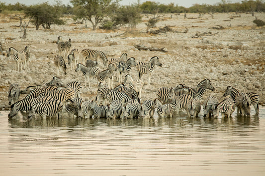 Africa: Iconic Images