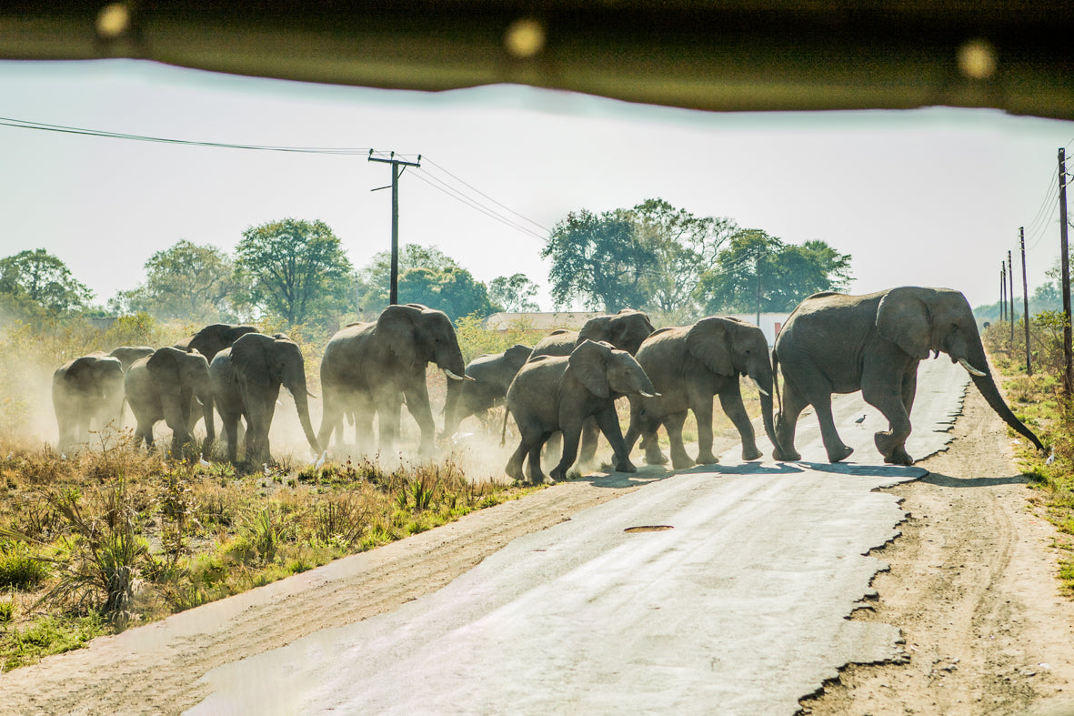 Africa: Iconic Images