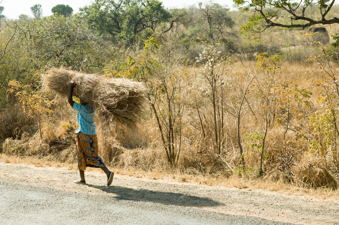 Africa: Views From A Bus. Vol.1