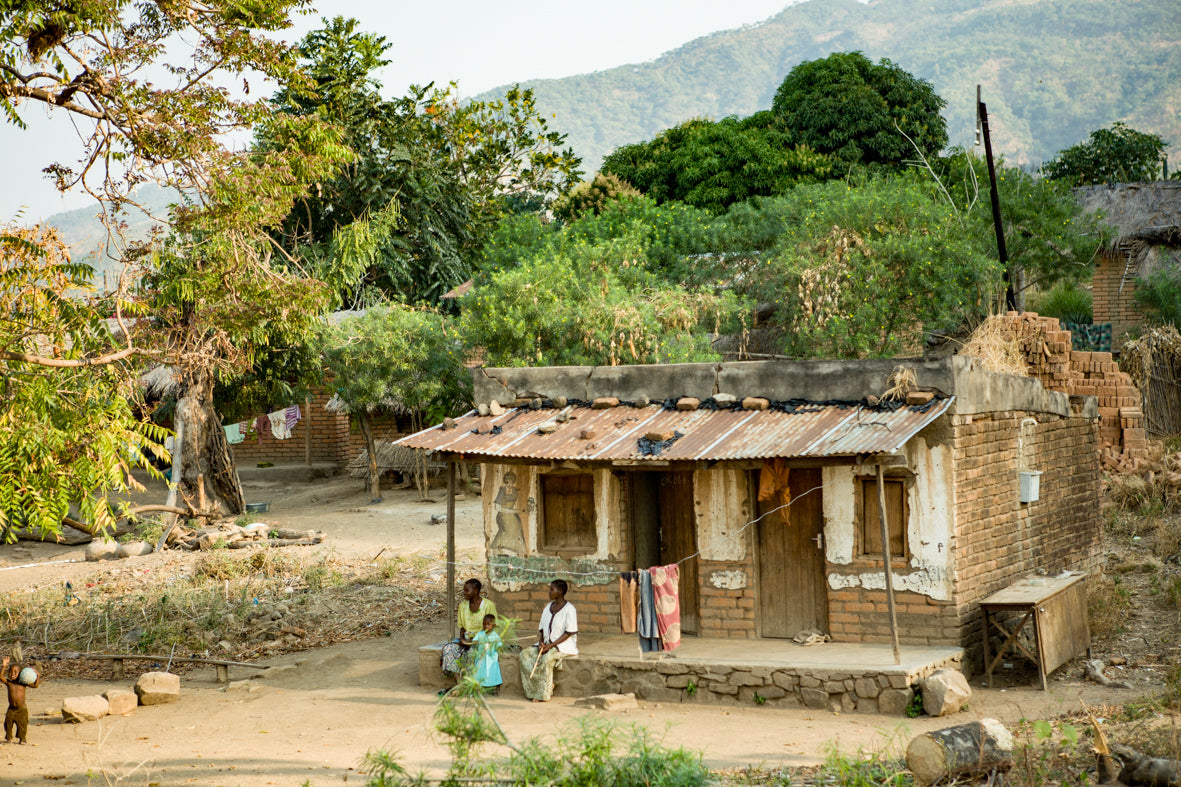 Africa: Views From A Bus. Vol.2