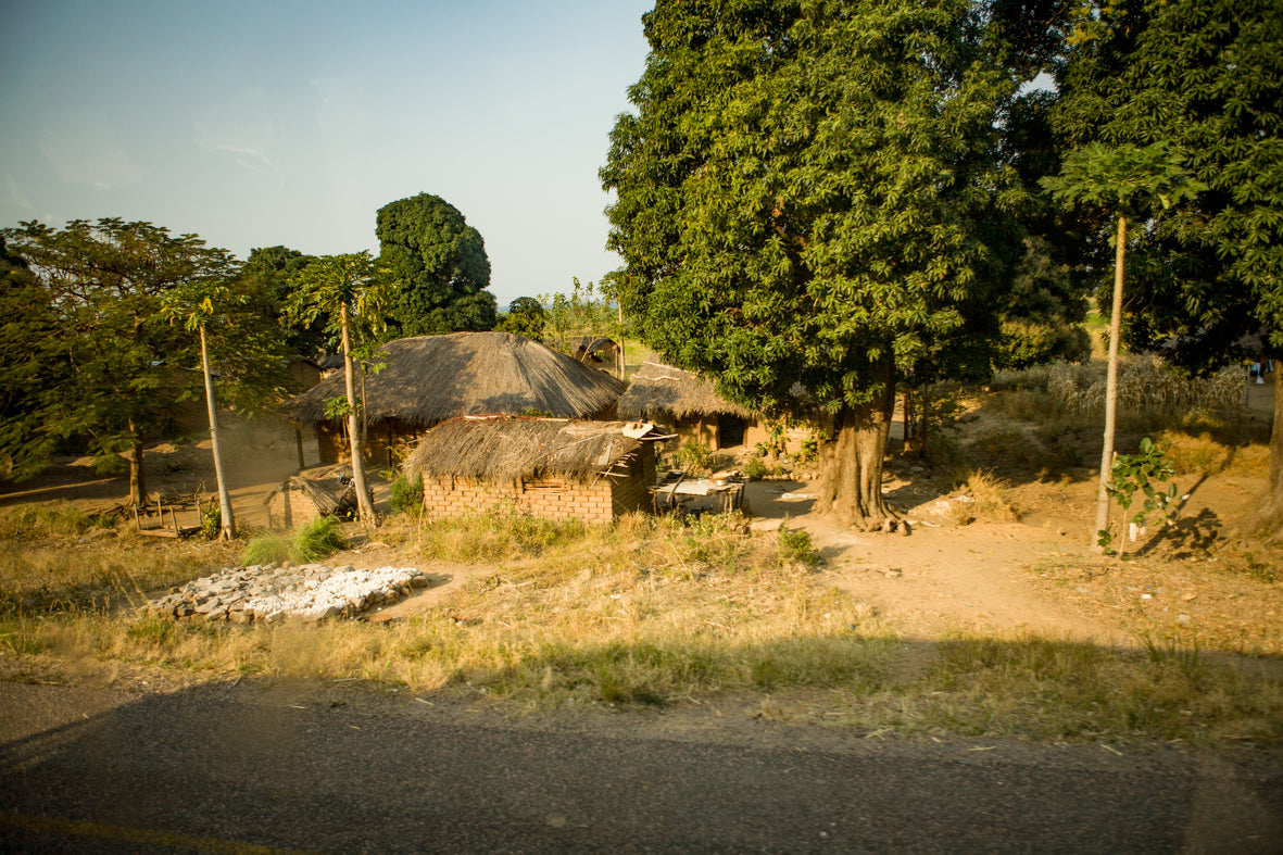 Africa: Views From A Bus. Vol.2