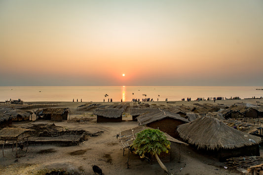 Africa: Views From A Bus. Vol.2