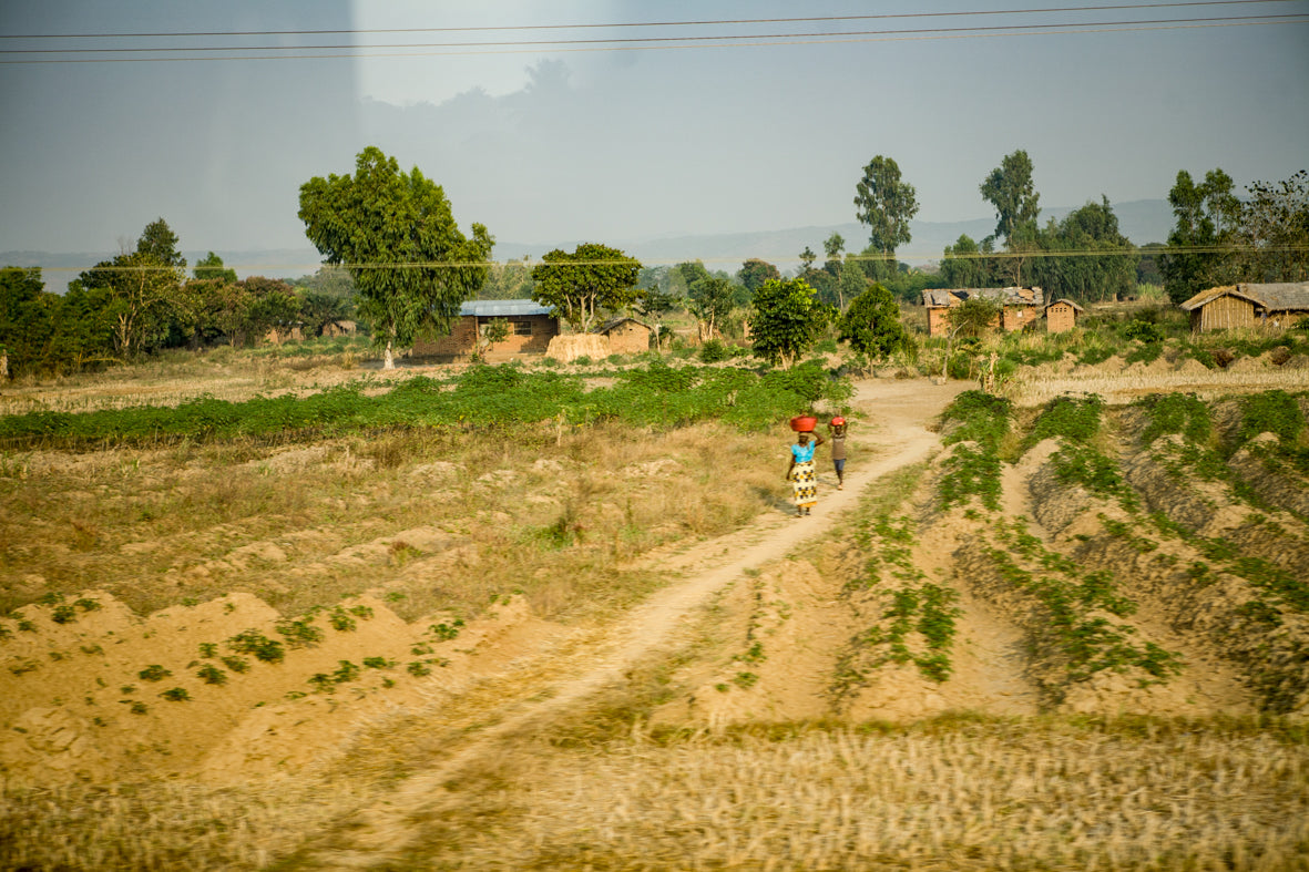 Africa: Views From A Bus. Vol.2