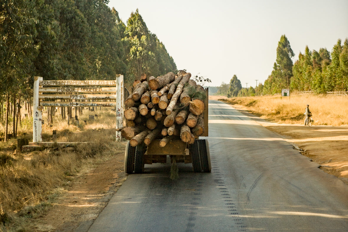 Africa: Views From A Bus. Vol.2