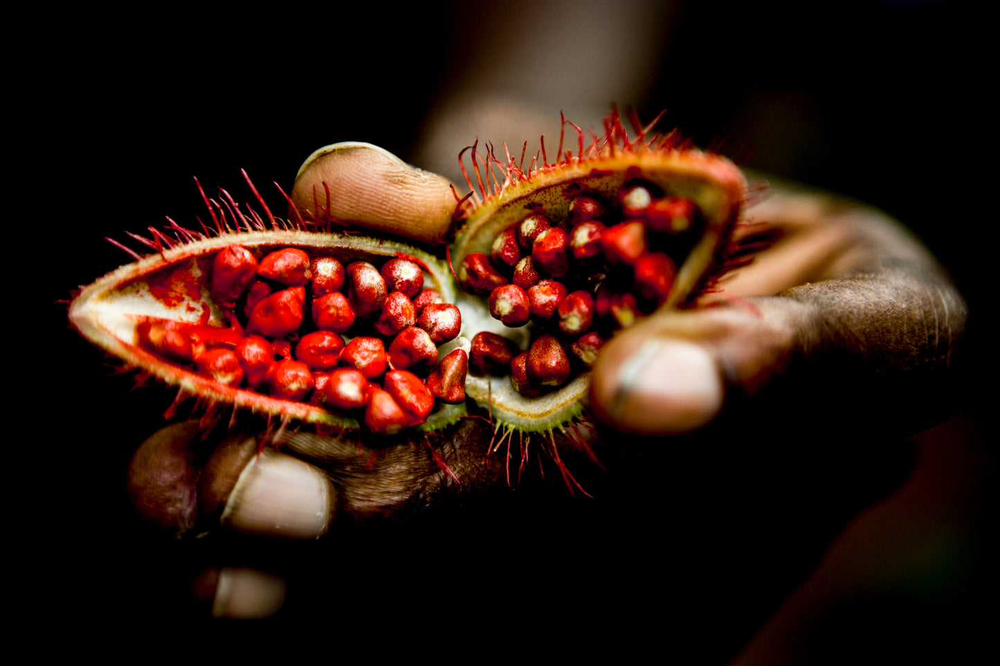 Annatto