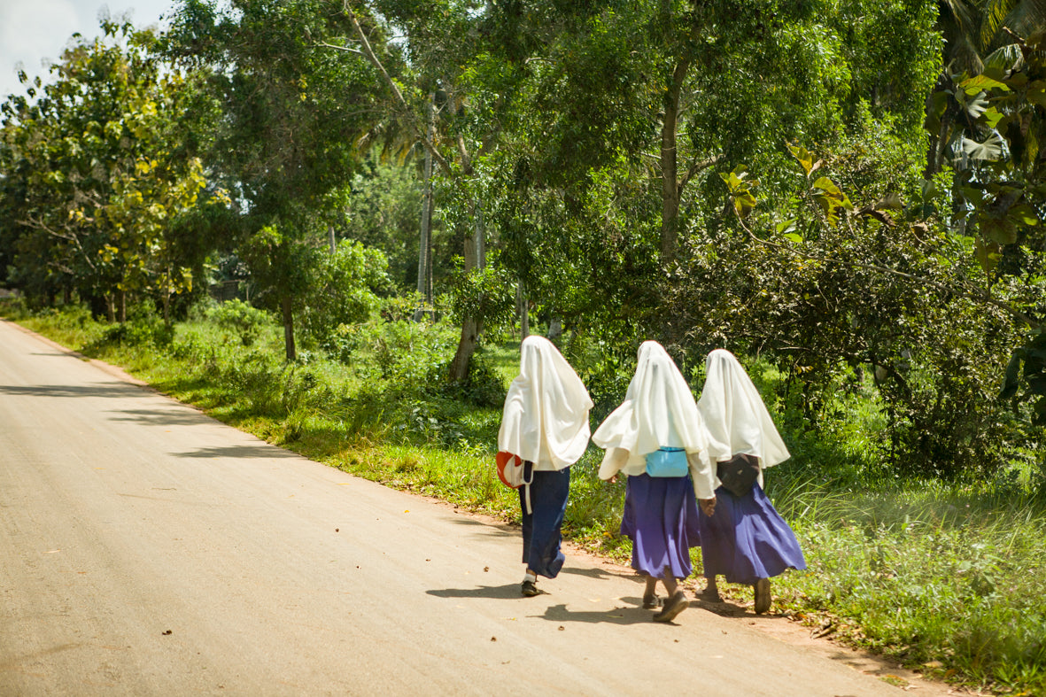 Africa: Views From A Bus. Vol.3
