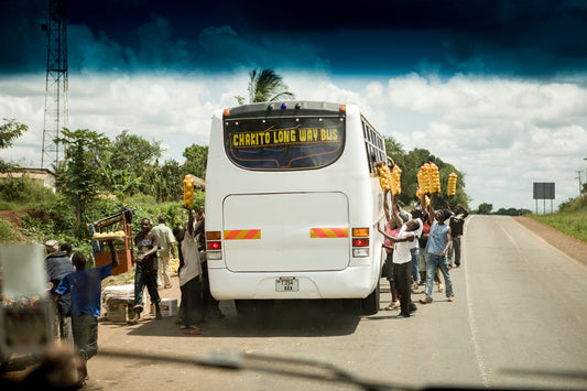 Africa: Views From A Bus. Vol.3
