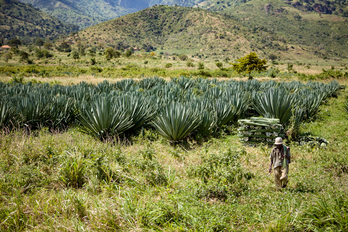 Africa: Views From A Bus. Vol.3