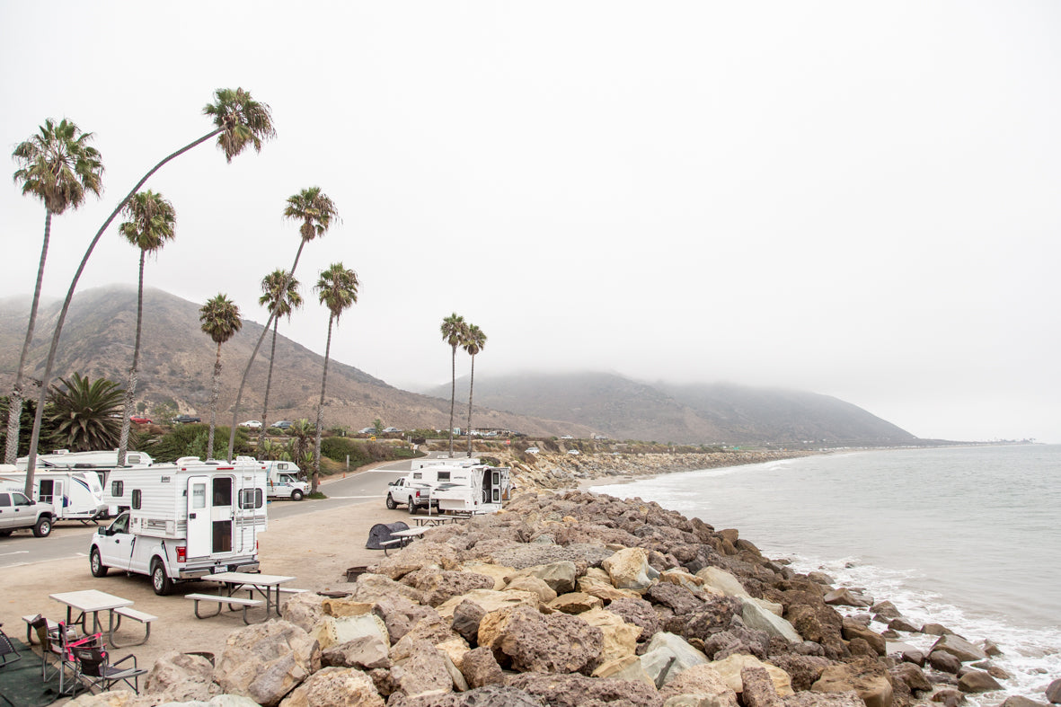 Big Sur Palms