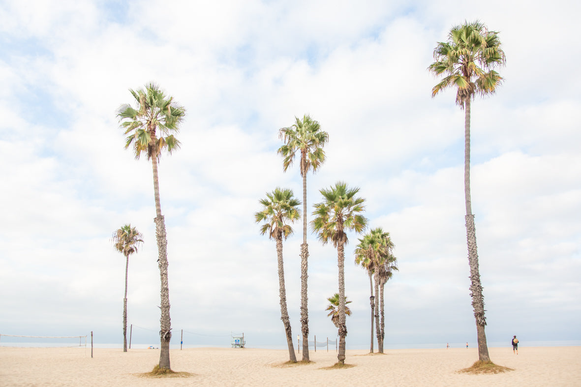 Unwavering - Venice Beach