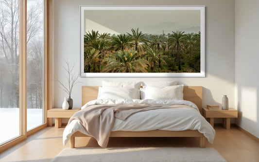 Middle Eastern Palms