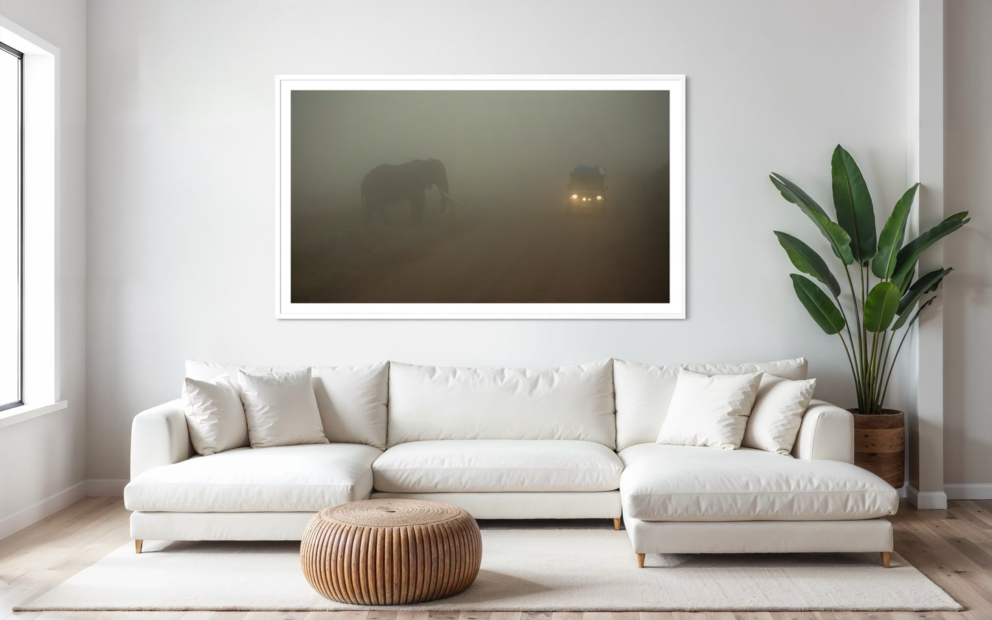 Elephant Fog