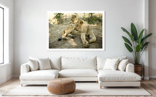 Up Close and Personal