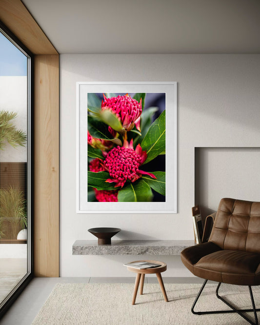 For the Love of Waratahs