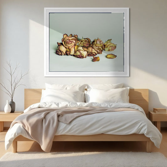 French Antique Roses