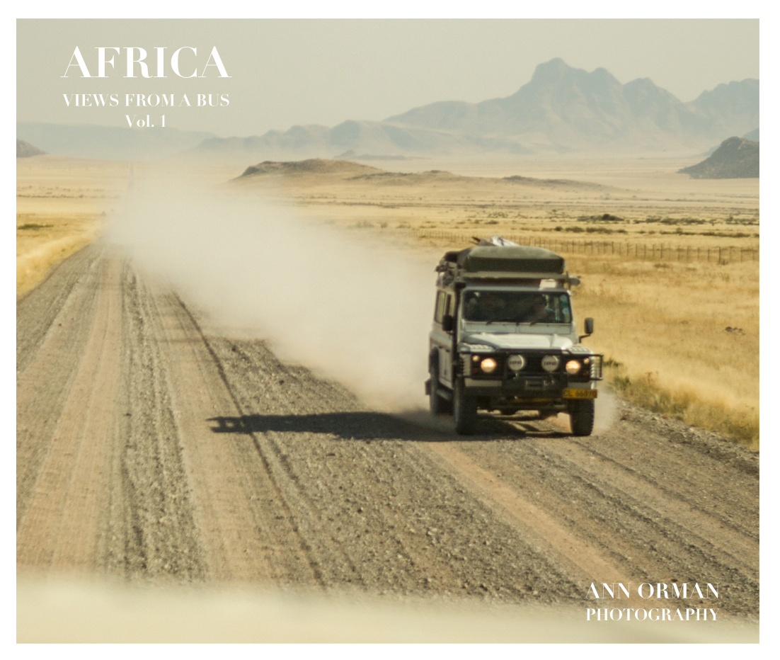 Africa: Views From A Bus. Vol.1