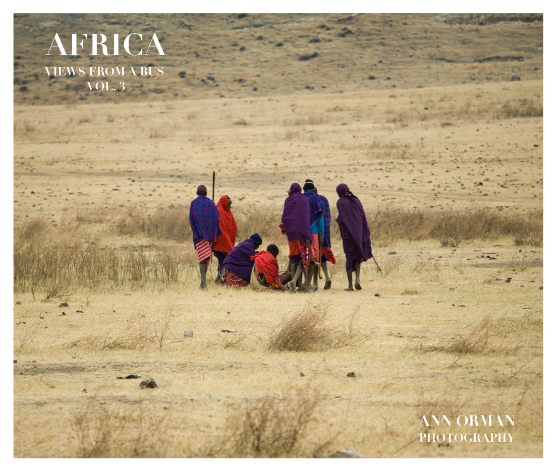 Africa: Views From A Bus. Vol.3