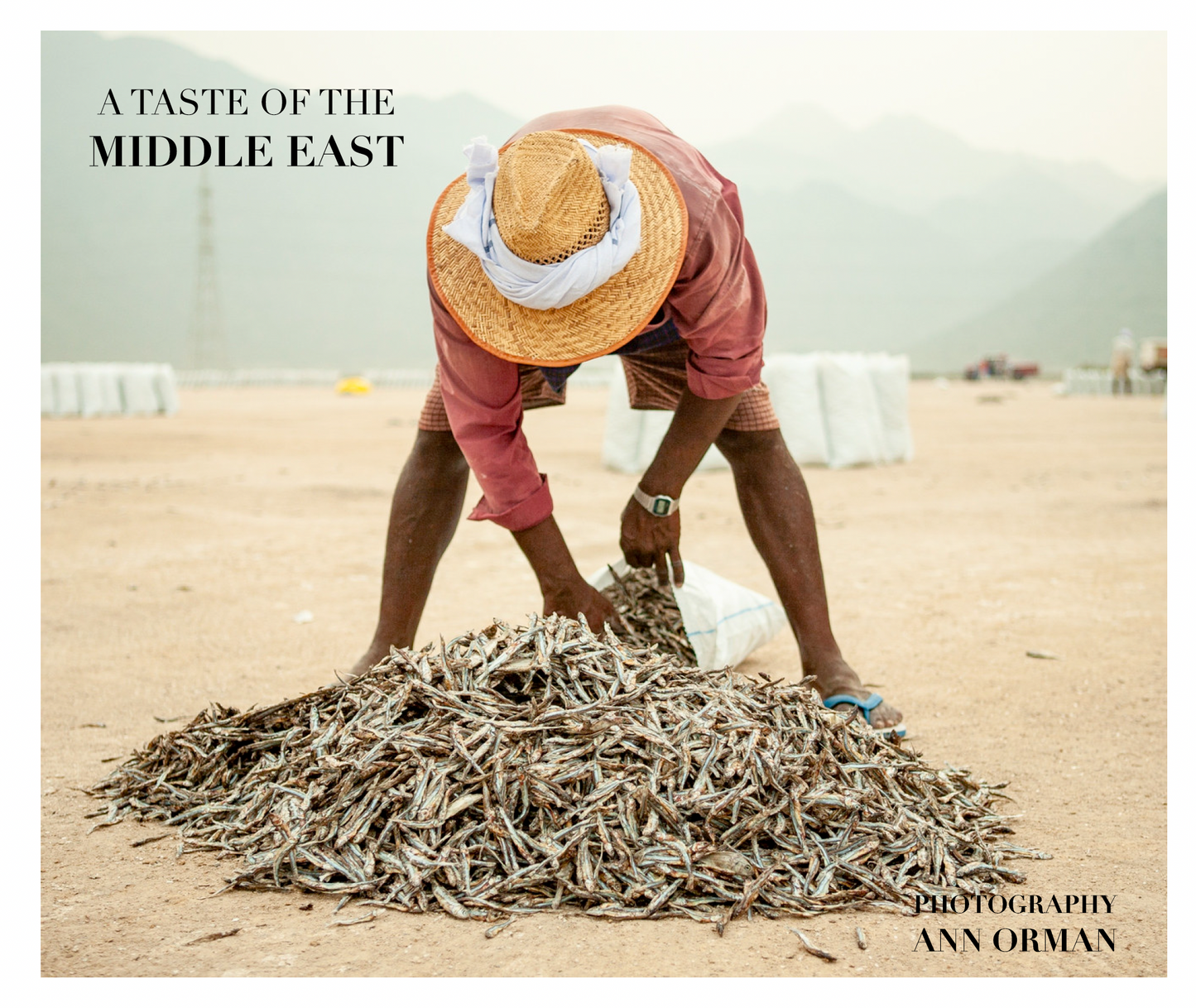 A Taste of the Middle East