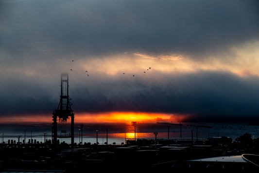Storm Birds at Sunrise
