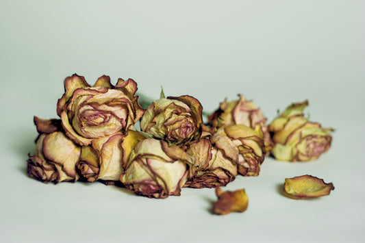 French Antique Roses