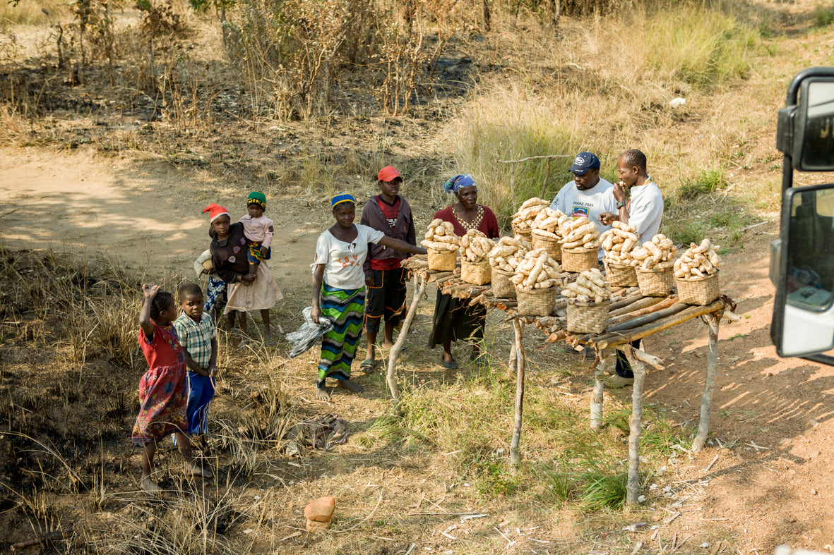 Africa: Views From A Bus. Vol.1