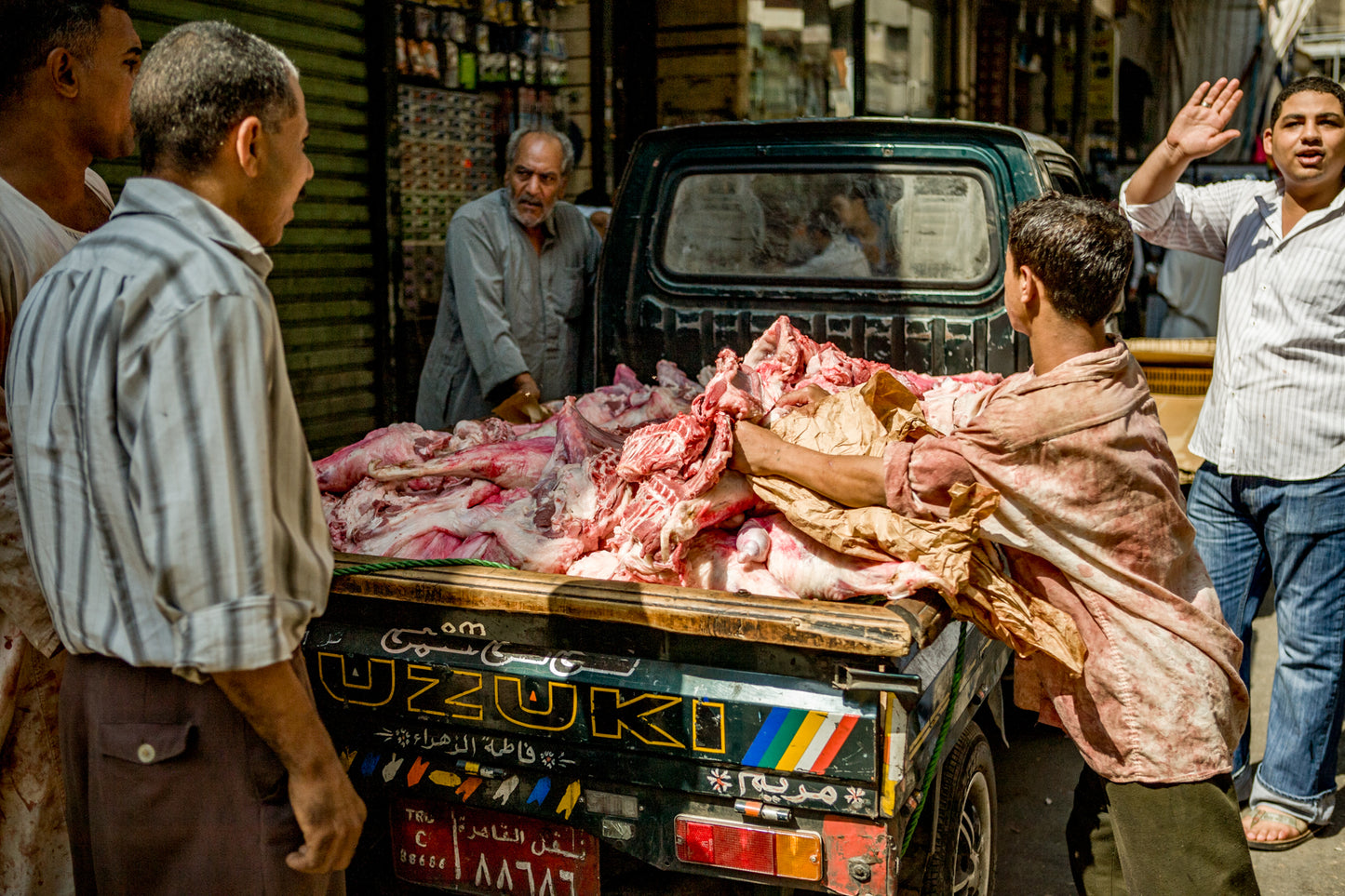 Images of Egypt