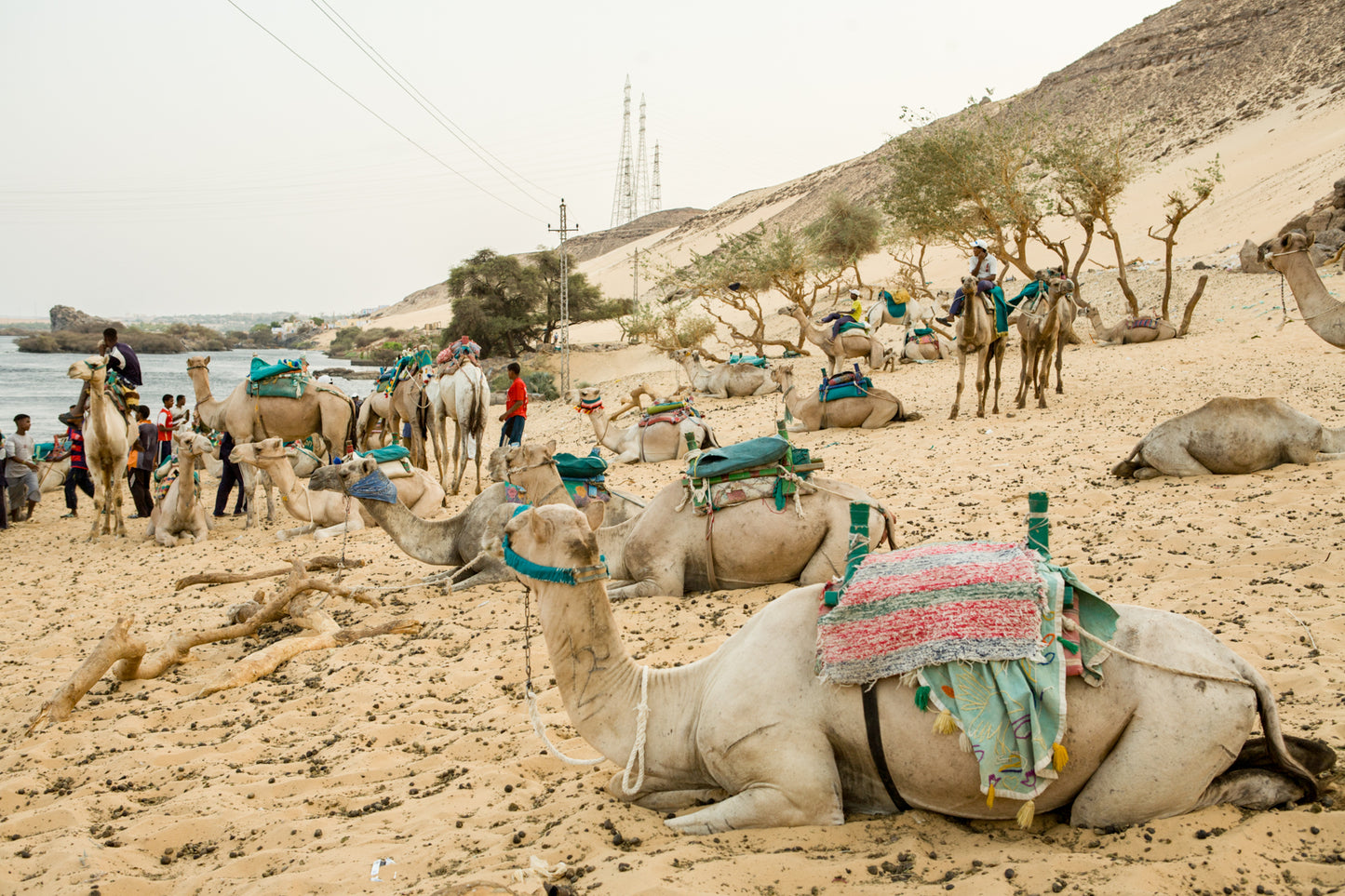 Images of Egypt