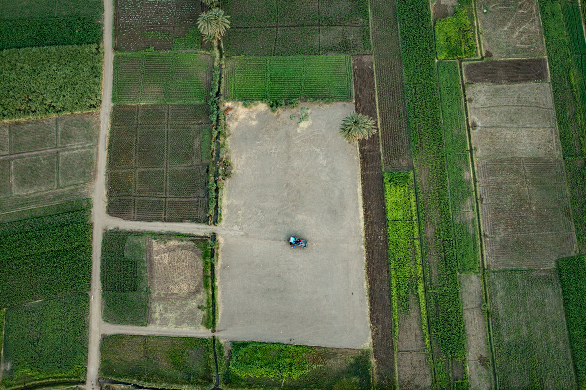 Green Fields of Luxor