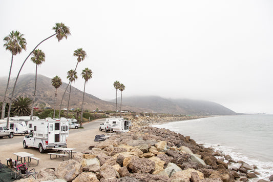 Big Sur Palms