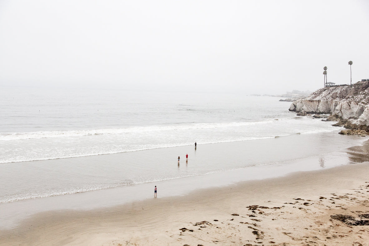 Into the Mist