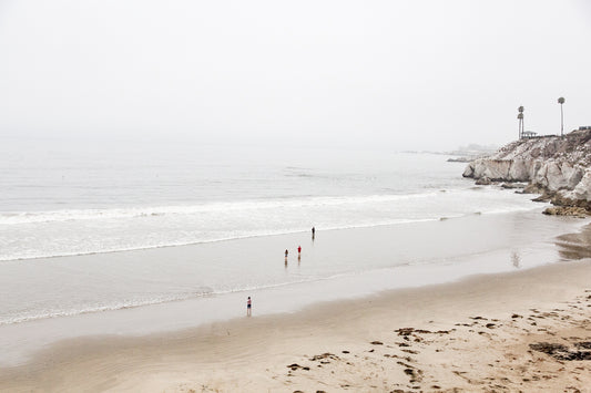 Into the Mist