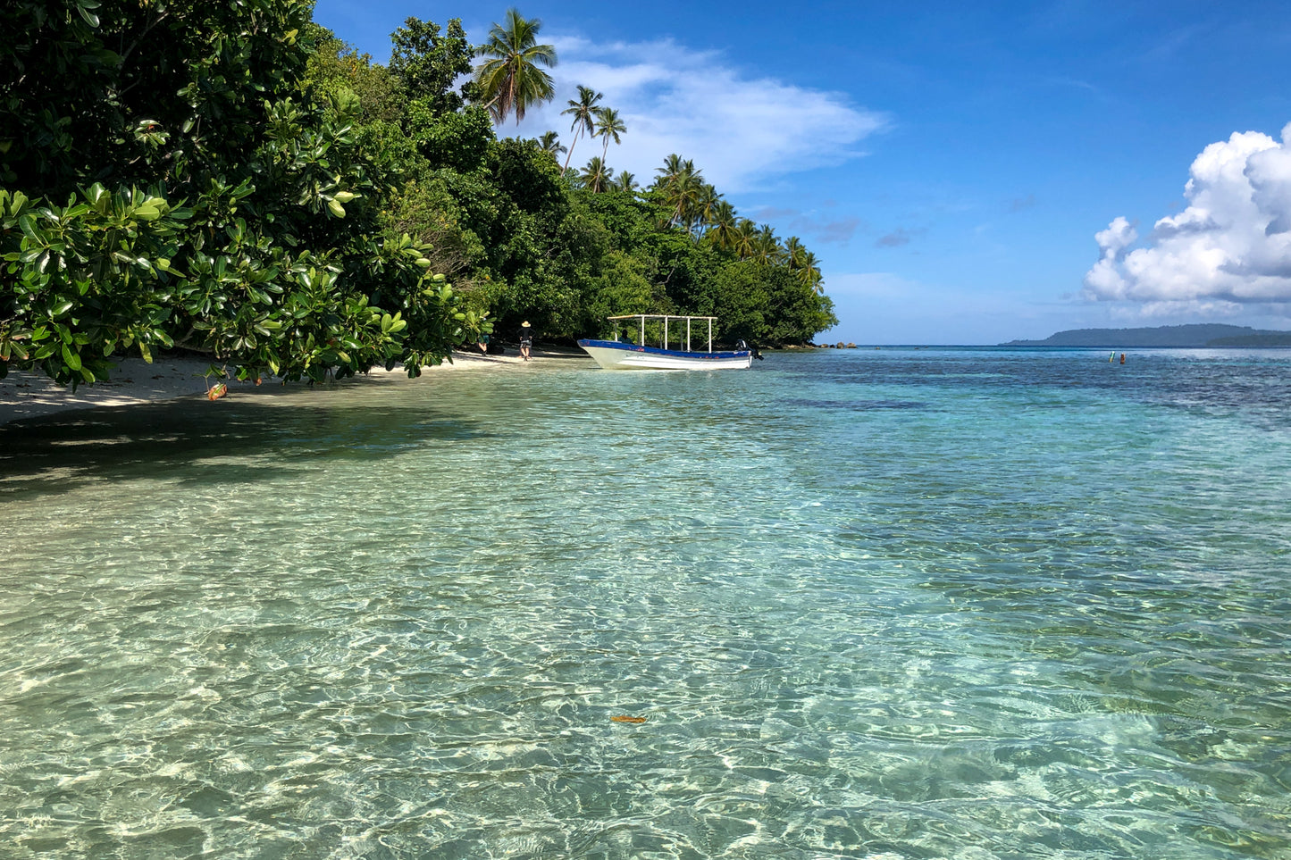 The Solomon Islands Vol.1