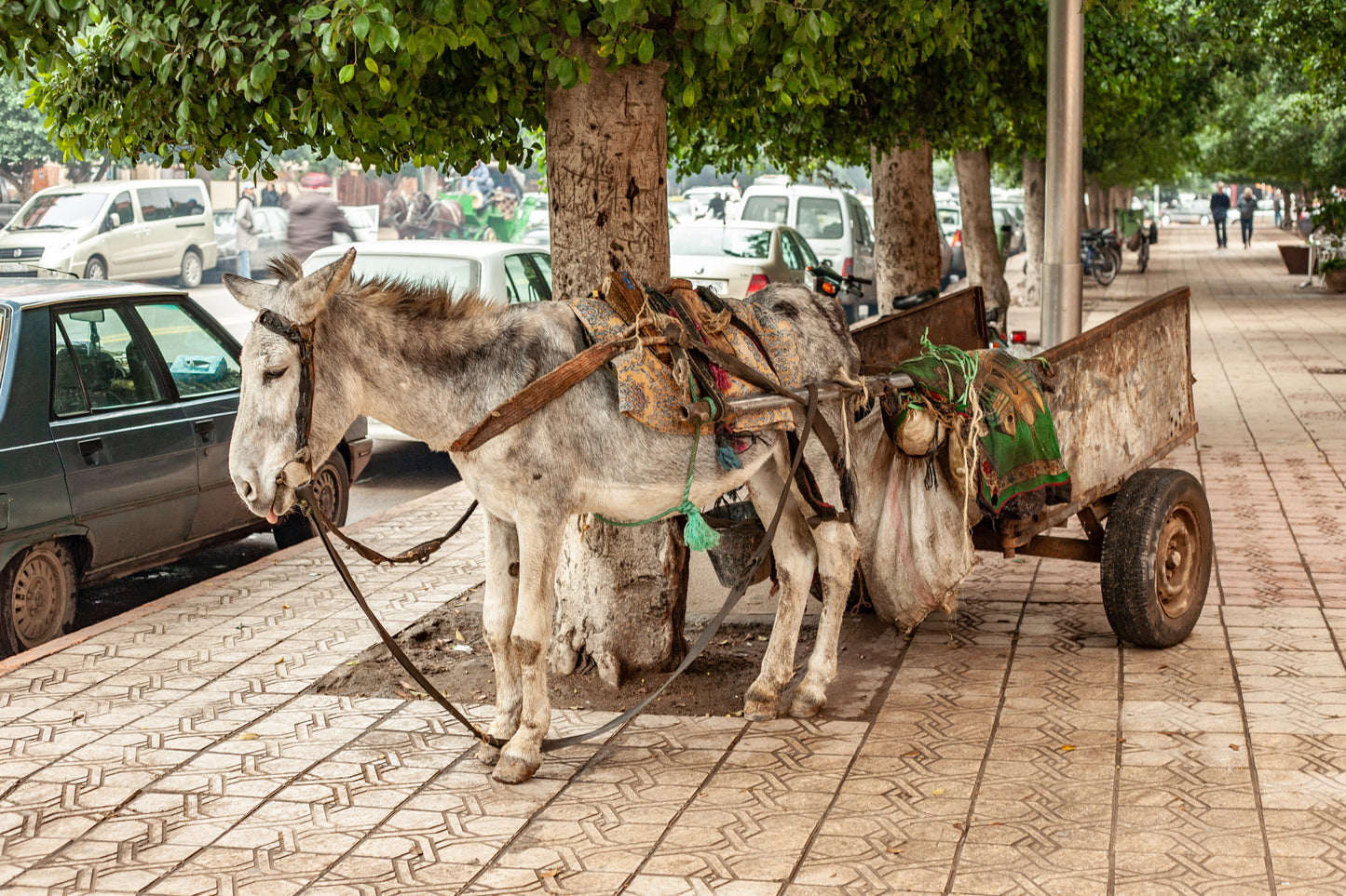 The Magic of Morocco