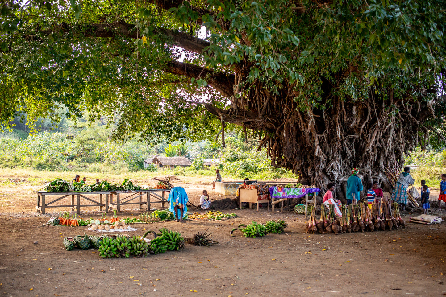 Tanna Island - Vanuatu