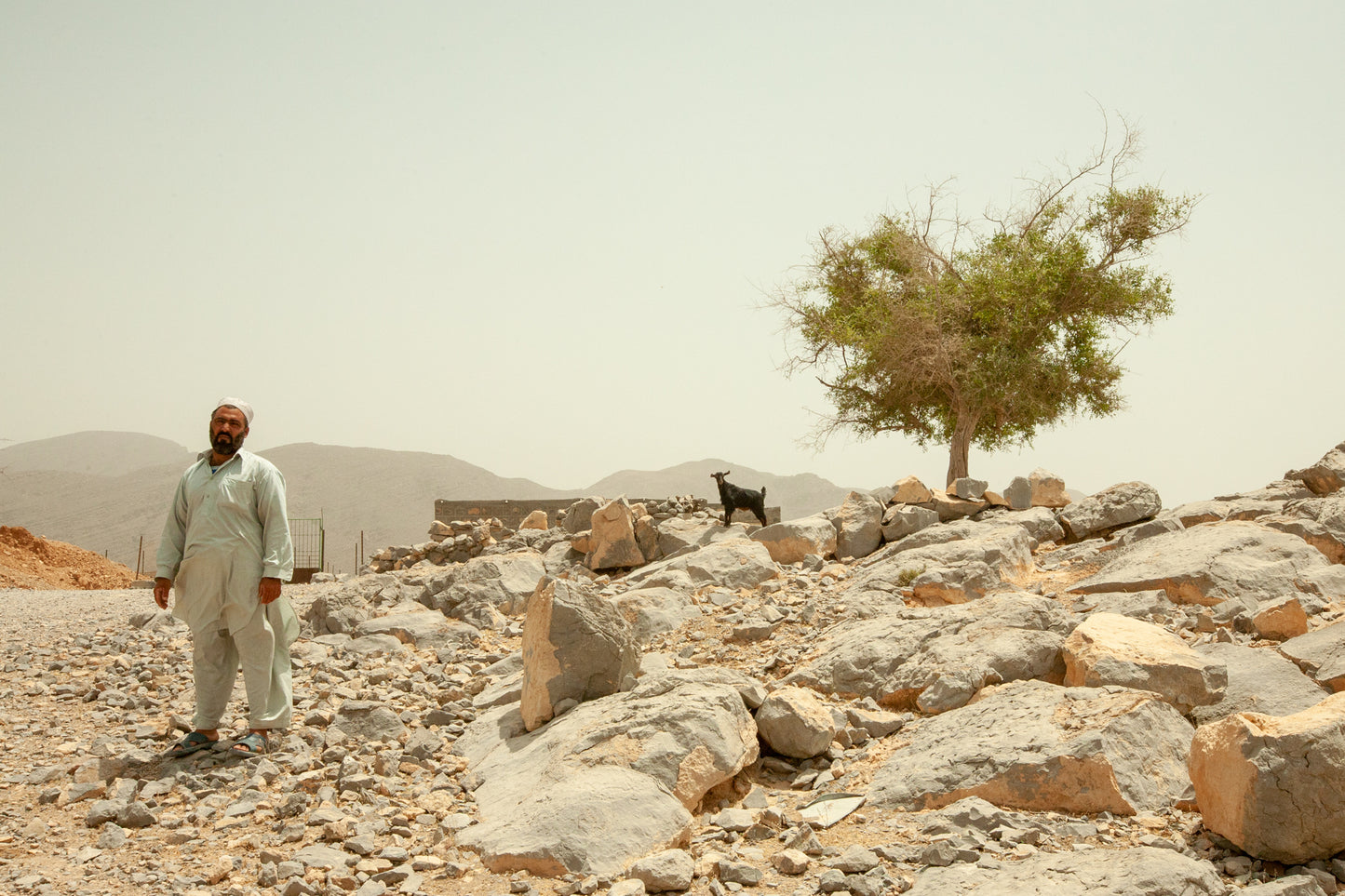 A Taste of the Middle East