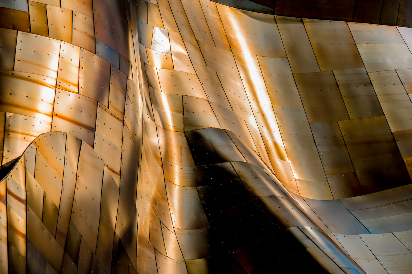 Lines & Curves