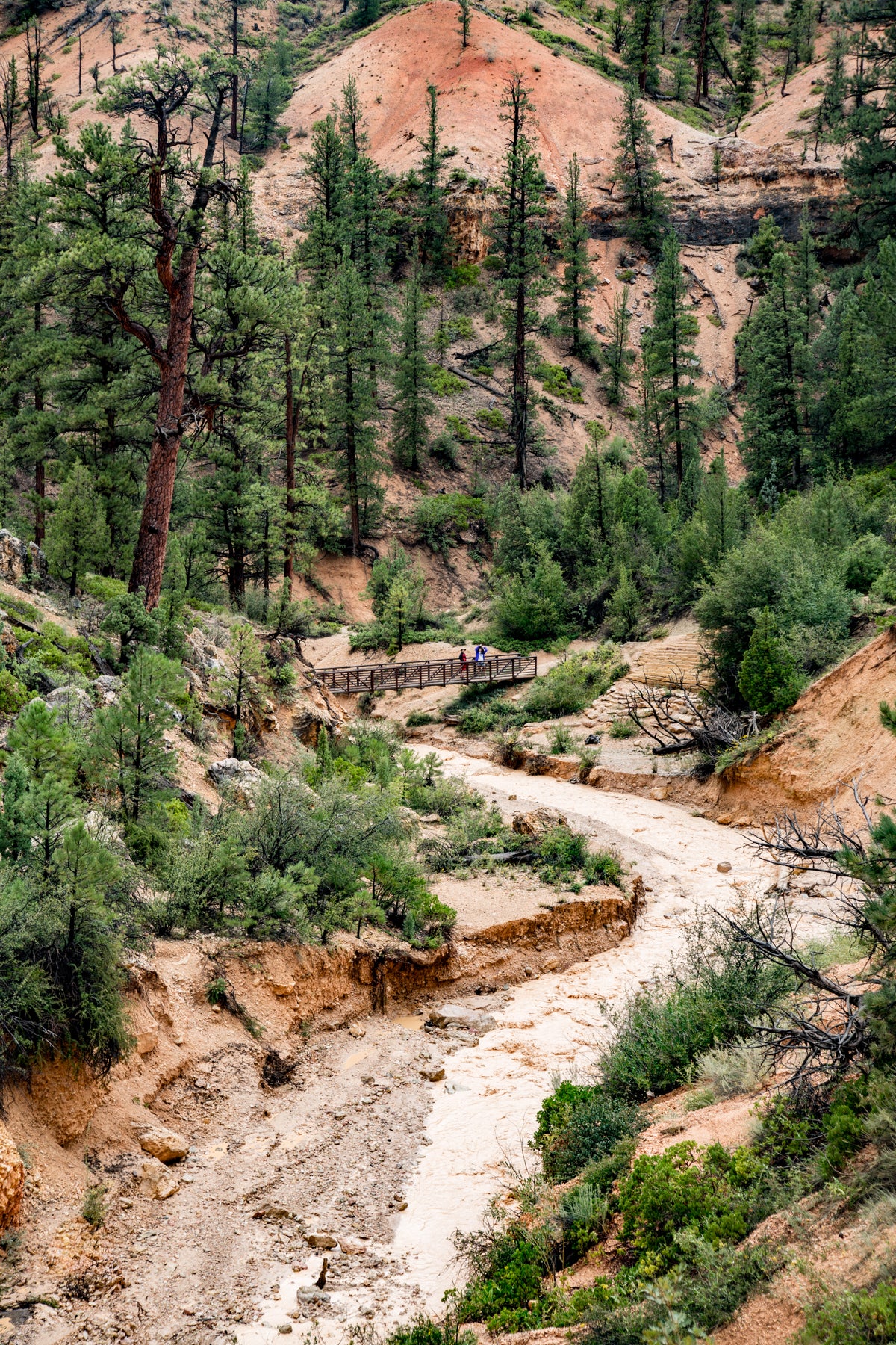 UTAH