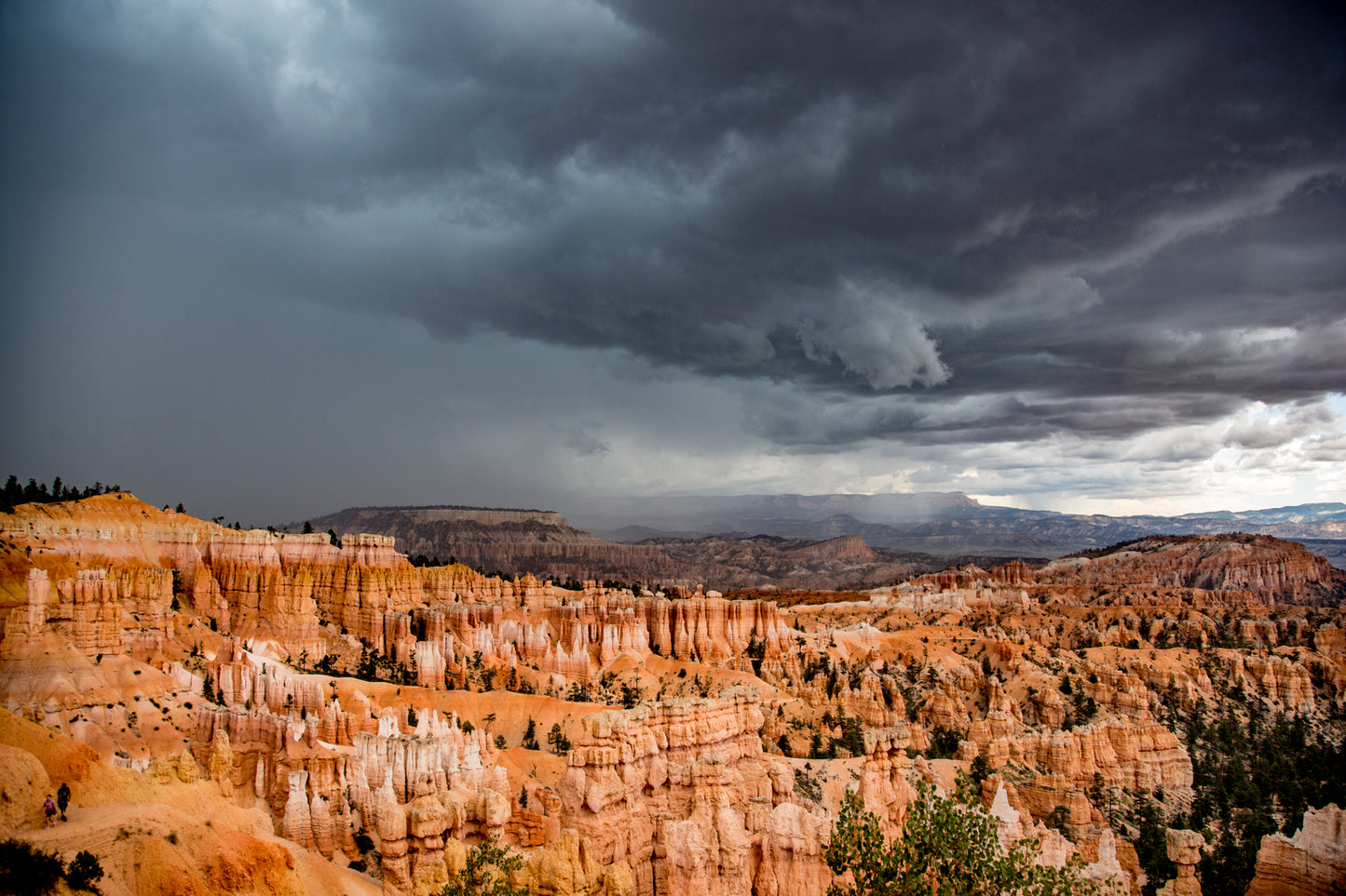 UTAH
