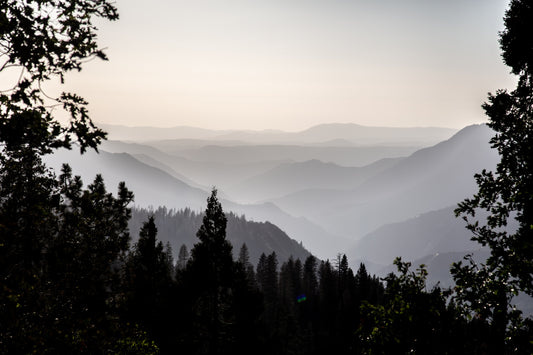 Yosemite Views