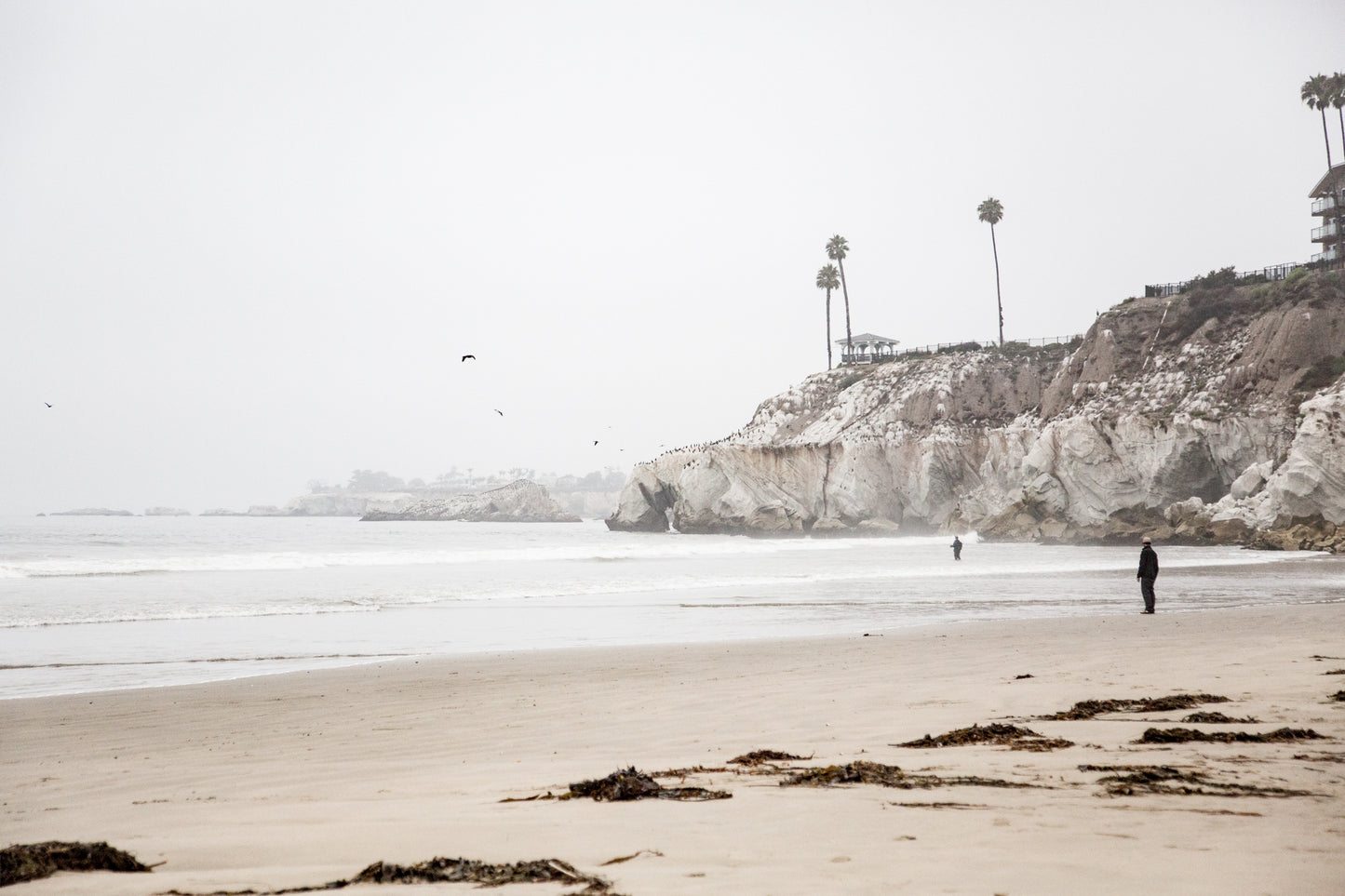 Pacific Coast Highway, California