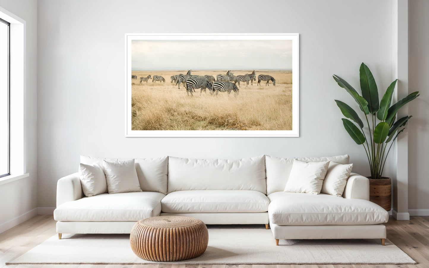 A Landscape of Zebras