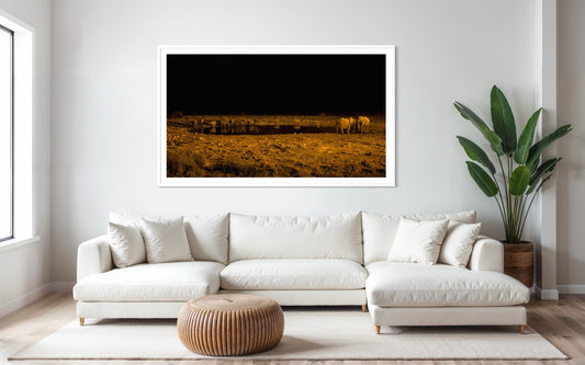 The Nightime Gathering