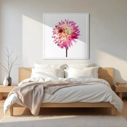 Priscilla Queen of the Desert