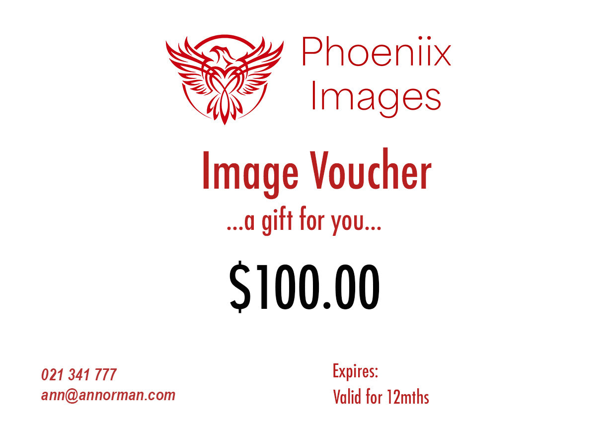Gift Voucher $100