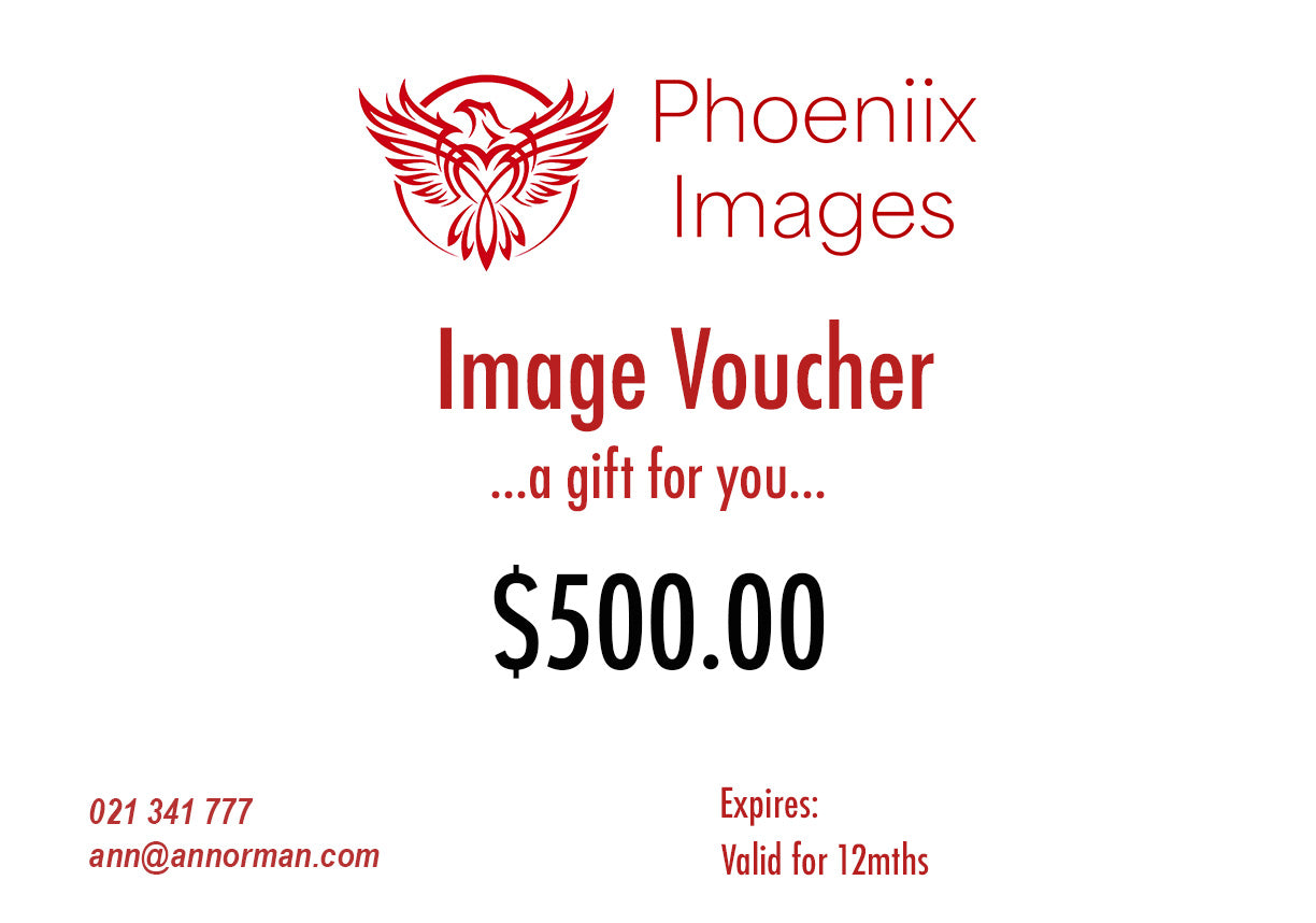 Gift Voucher $500