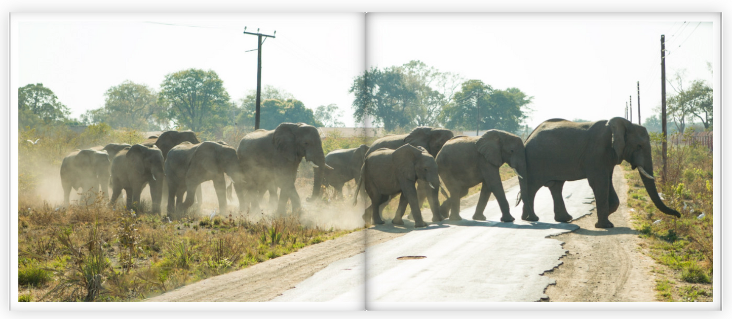 Africa: Views From A Bus - Vol 1