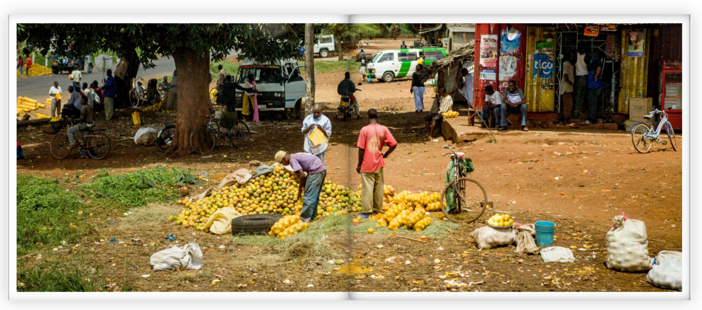 Africa: Views From A Bus - Vol.3