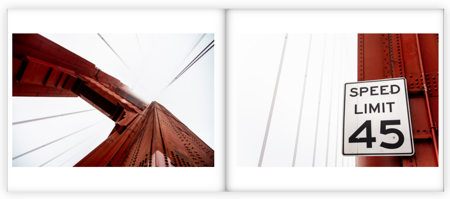 Lines & Curves
