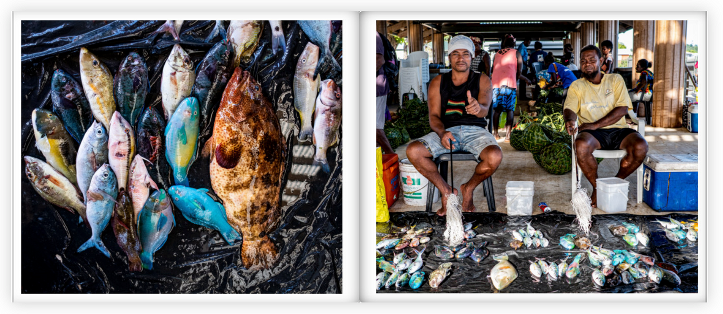 The Solomon Islands Vol.1
